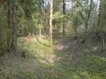 Продам уникальный лесной участок 60(20+20+20) соток Ленинградск.ш д.Головково 50 км. от МКАД