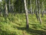 Земельный участок рядом с р.Ока