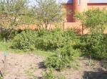 Новорязанское ш., 5км от МКАД, г. Котельники, ИЖС. Уч-к 20 сот. Престижное, благоустроенное место
