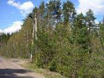 Горьковская дом сруб 8* 8(недострой)