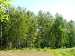 Земельный участок 6 соток. СНТ «Клен». 42 км от МКАД, Каширское ш