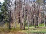 Симферопольское ш. (Варшавское ш.), 60 км. от МКАД, д. Солнышково.