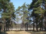 Продажа. Поречье, Рублево-Успенское шоссе, 35 км от МКАД, площадь участка 1164 сот.