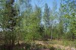 Продам участок, Павловск-1,9 сот., перспек. сад-во