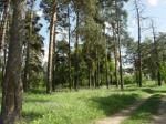 Продам землю ( Каширское шоссе 5 км от МКАД , Суханово - Сосны. )