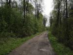 Деревня, Старт сад/тов, лот.№07120700021,
Вниманию покупателей предлагается небольшой щитовой домик площадью 36,3 кв. м, расположенный на участке 6 соток в деревне Петровское (Истринский район), в 28 км от Мкад по Волоколамскому шоссе.