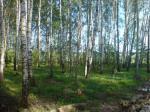 Продаю участок 20 соток под ИЖС, Симферопольское шоссе, 62 км от МКАД