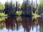 Продается отличный участок 8,5 соток, Всеволожский р-н