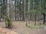 Продается дача, Рублево-Успенское шоссе, 25 км от МКАД, площадь участка: 17.79 сот.