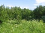 Продам участок в п. Ключевое, берег Финского залива