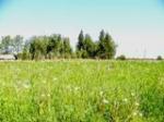 Продам участок 12 соток д.Бабино 110 км от СПб
