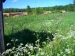 Участок 12(14) сот. Ярославское ш. 50 км от мкад