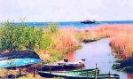 Морозова, продолжение 2506. 79900$ .