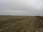 Продаю участок, в близи пос.б.верево. 800м киевское шоссе. 5га, от собственника срочно!