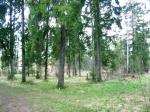 Продаю два лесных участка по 10 соток на Истринском водохранилище д. Соколово 35 км. от МКАД.