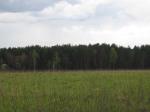40,1 Га, 70 км. от МКАД,Симферопольс кое ш., Серпуховский район