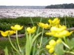 участок под строительство коттеджа + 1 км.кв + 2км.кв - продажа от хозяина, оптом цена снижена