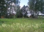 Участок Чеховский район 6 сот.