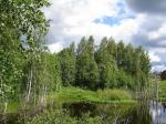 Порошкино,ИЖС,15с оток,коттеджная застройка (8 км от СПб)