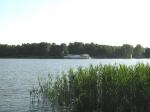 Осташковское или Ярославское шоссе (20км от МКАД). Водоохранная, закрытая территория. Витенево