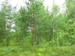 Продаётся участок 6 соток в Дунае (собственность).