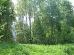 Казанское напр., 20 км от МКАД, стародачное место. Красивейший участок, 20 соток