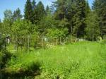 Продам участок с садовым домом в Выборгском районе