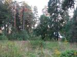 Ярославское шоссе, участок 34 сотки, 12 км от МКАД