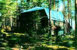 Лосево, Приозерский р-н: очень красив. место, р.Вуокса 800 м, дом 10х9 м, 2-уров., бр., 380В, водопр., сосны, ИДС, 10 сот., собств., 5750 тыс.р.
