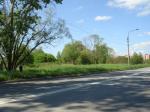 Петродворец уч-ок 50 сот.ИЖС