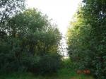 Коробицыно,2 км от горнолыжных курортов, ИЖС,20 сот.(85 км от СПб)