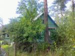 Вырица 12соток