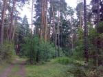 Спешите-у Вас еще пока есть уникальная возможность купить шикарный лесной участок!!!Хотите жить в сосновом бору в очень элитном месте?