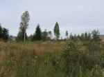 ст.Поповка,Красно горец,30 км от СПБ,отл.ровный уч.10 сот.,свет,водопр. ,уд.сообщ.,