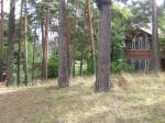 Курорт (Сестрорецк). Отличный участок 30 соток.