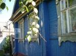 дом со в/у в Арзамасе, земля, баня, гараж 2 млн.р. тел. 8-906-348-78-58