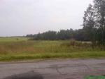 Продам участок ИЖС (между Сяськелево и Елизаветино) д. Луйсковицы 20 соток. Граничит с лесом. Свет, водопровод.СПб 50 км Гатчина 10 км.