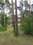 Продам Замечательный участок 25 соток в Сестрорецке (Курорт).