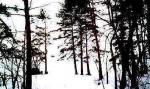 Агалатово: участок 12 соток, эл-во. Сад-во "Грузино-9", рядом граничат 4 участка по 12 соток. Рядом озеро