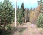 Горьковское