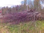 Продам участок Кировский р-н михайловское
