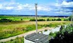 Ропша: участок 3,29 га рядом с городом под коттеджную застройку, рядом электричество, возможен газ, асфальтовая