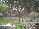 Сысерть. дом у леса