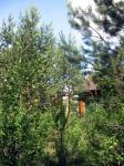 Продам участок 20 соток Солнечное2 - Белоостров