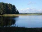 продам участки под застройку в Новгородской области в том числе на Валдае у озер