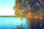 Ивановское, Кингисеппский р-н: на бер.озера уч. 12 сот., зимний дом 6х8 м, 2 комн., кух., вер., печь, свет, рубл.баня, плод.сад, свой берег, инфр., сосн. бор, отл. ПМЖ, 1224 тыс.р. Фото 518_ 3419