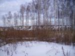 Кедровка Березовский район, 20 мин. от ЕКТБ., земельный участок 12 соток в собственности под строительство Вашего будущего домика, в Березовой роще. Ст-ть 1470000 руб., торг до 1400т.р.
