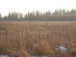 Продам участок 30 соток ИЖС в Волосовском районе