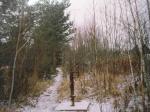 Участок в садоводстве 12 соток. Чаща.
