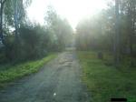 Город Пушкин пос.Александровская